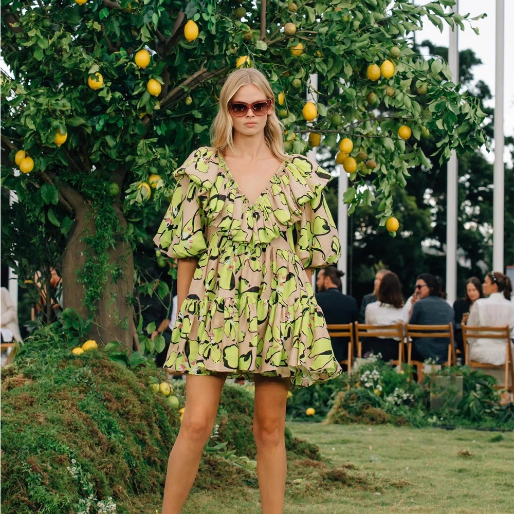 Aje Pelicano Ruffled Mini Dress